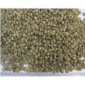 best selling Raw Coffee Beans